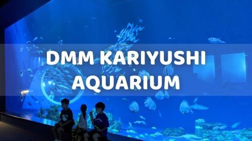 Okinawa FunPASS Churaumi Series: Churaumi Aquarium Admission Ticket, Free Choice of Attraction Experiences, Transportation and Shopping Discounts
