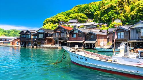 Kyoto's Seaside Day Tour: Amanohashidate & Ine Funaya Day Tours