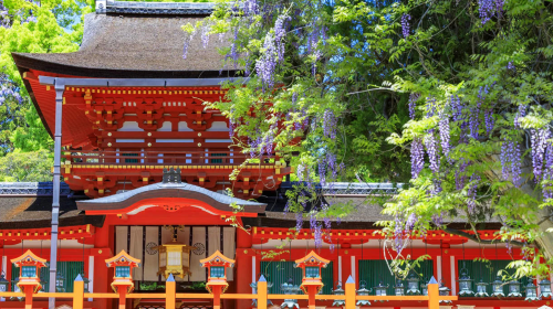 Private Charter Tour: Osaka, Kumano Kodo, Nachi Waterfall & Nachi Taisha in Japan