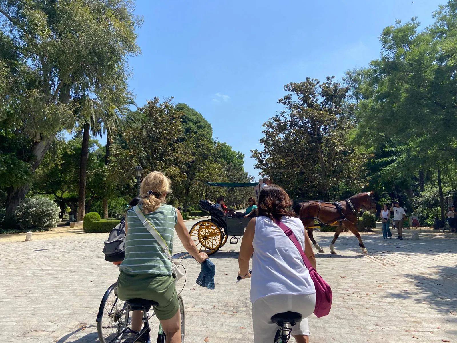 Bike Tour in Seville