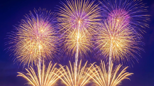 1-day tour to the 95th tsuchiura national fireworks festival on November 7 for solo travelers | departure from Tokyo Day Tours