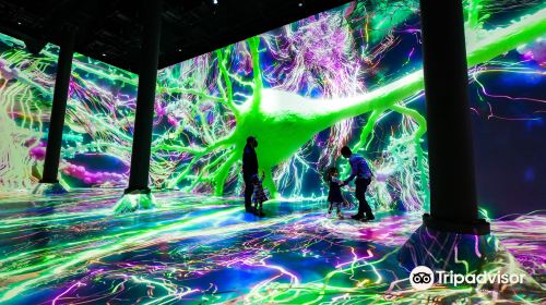 ARTECHOUSE NYC
