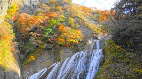 Ibaraki Autumn Special – Hitachi Seaside Park