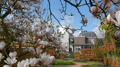Vincent van Gogh House: Entry Ticket + Audio Guide Day Tours