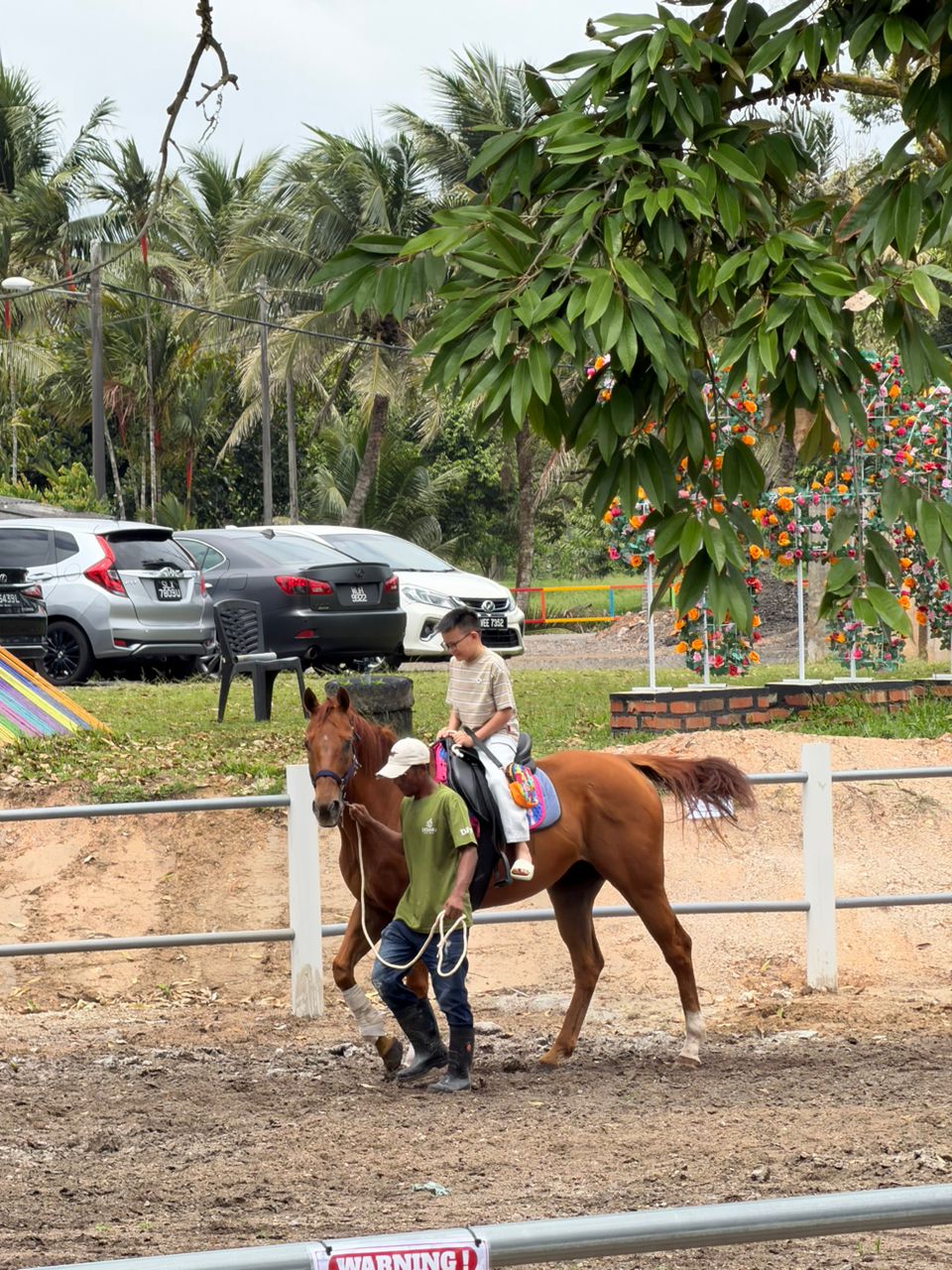 Desaru Fruit Farm Horse Riding Experience