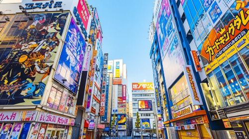 From Yokohama Port: Private 10-Hour Tokyo Charter Tour