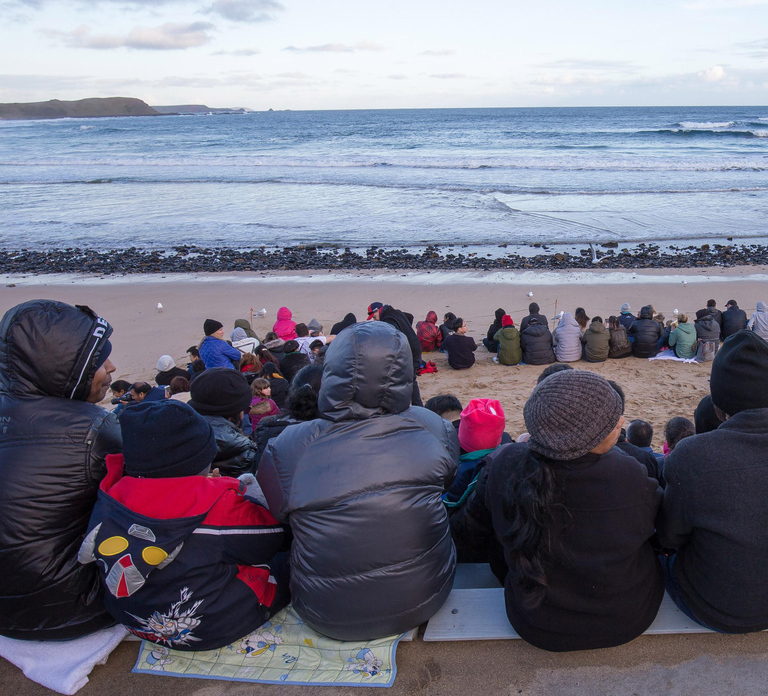 From Melbourne: Penguin Parade, Koalas & Kangaroos