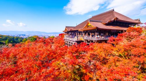 One-Day Tour in Kyoto and Nara