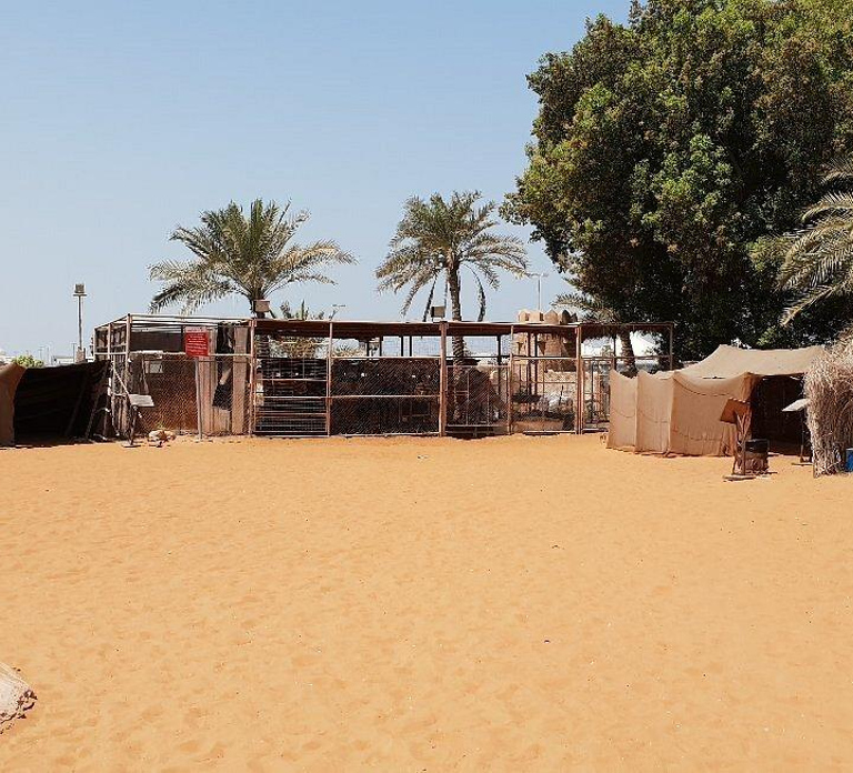 Abu Dhabi: Layover Sightseeing Tour with Airport Pickup