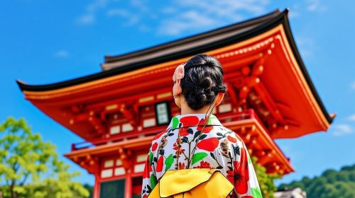 From Osaka Port: Private 10-Hour Kyoto Tour (with Customizable Itinerary)