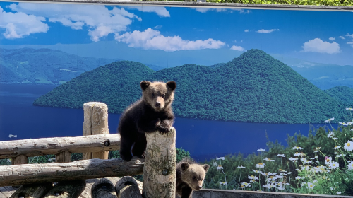 1-day tour to Noboribetsu and Lake Tōya in Hokkaido – Noboribetsu Jigokudani Valley