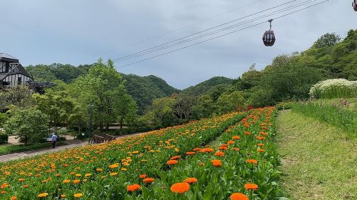 Kobe private tour from Osaka (Shore excursion available from Osaka or Kobe port)