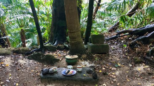 Iriomote Culture Discovery. Indigenous culture on Iriomote Island Day Tours