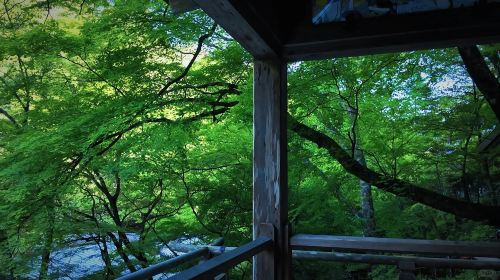 Small group of 9: Kyoto 1-day tour to Kifune shrine, Arashiyama and Sanzen-in