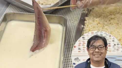 Minamiboso City Tourist Information Center Horse Mackerel Handling and Frying Workshop Experience