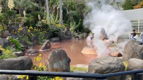 Beppu Kinrin Lake Autumn Viewing + Hells of Beppu + Kyushu Wildlife Park African Safari 1-day Tour