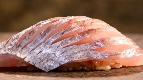 Sushi in Tokyo | Sushi Gotoroppo | Omakase Sushi & All-You-Can-Eat Wagashi