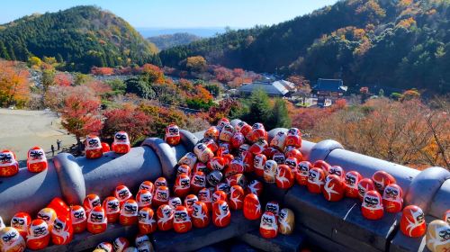 Matcha Experience Included! Katsuo-ji + Arashiyama + Kiyomizu-dera Temple (Departing from Namba/Osaka) Day Tours