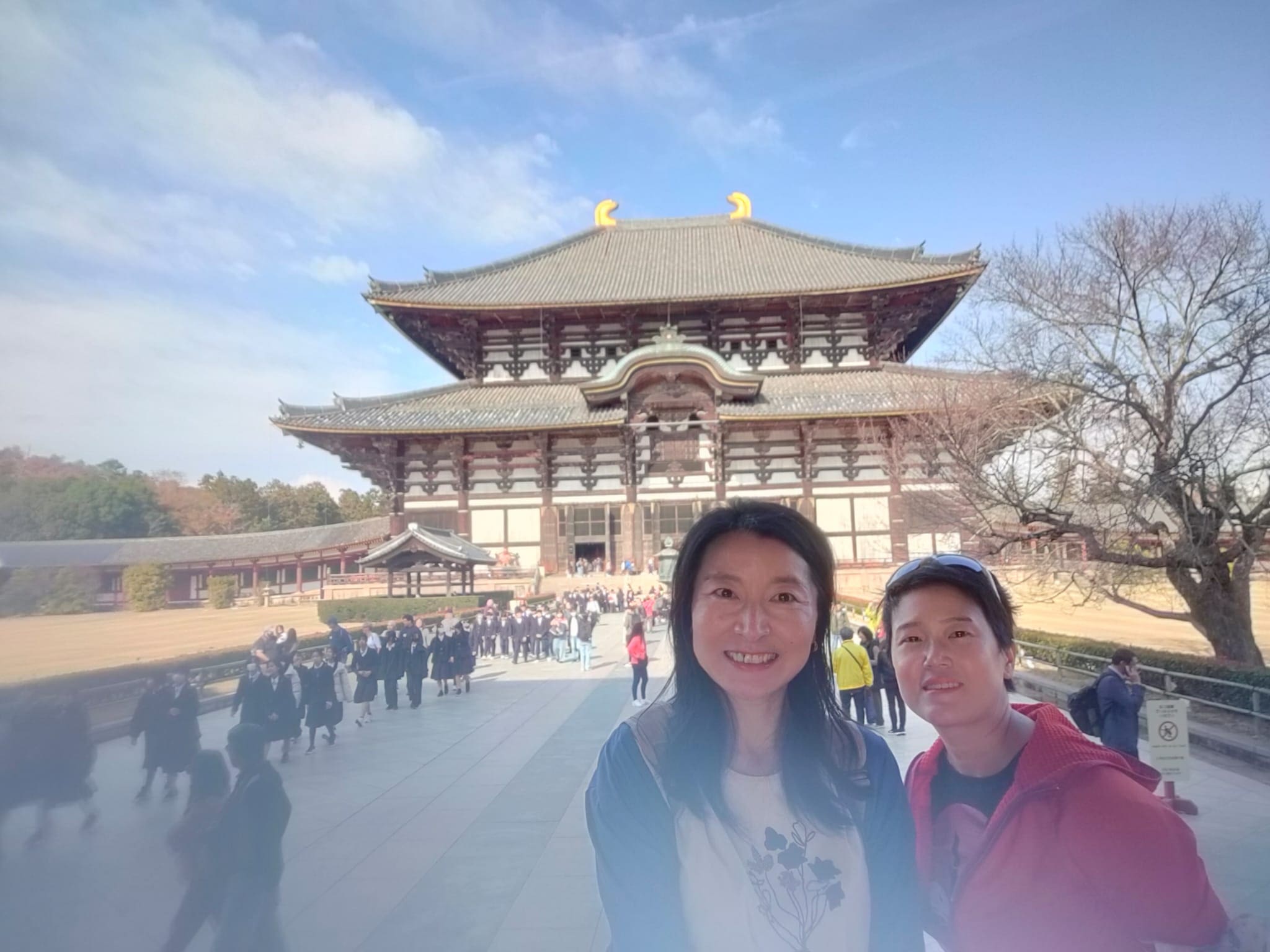 Private Nara Day Trip from Osaka – Local Japanese Guide