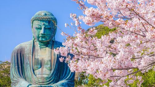 From Tokyo: Kamakura & Enoshima 1-Day Bus Tour Day Tours