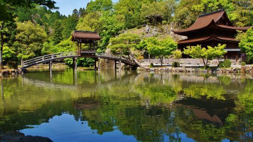 Inuyama Castle, Eiho-ji Temple, Ena Gorge Observatory, Magome-juku & Tsumago-juku – One Day Tour Day Tours