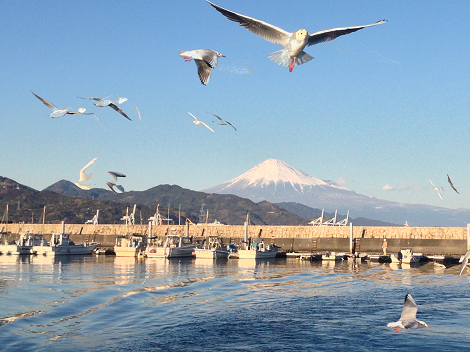 Mt. Fuji & Shimizu Port Cruise