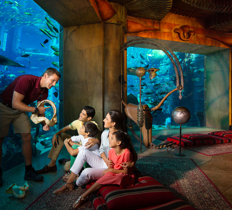 Lost World Aquarium: Diving Experiences