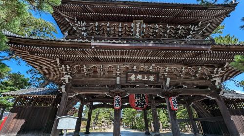1-day tour to Ine boat houses, Amanohashidate, Chionji Temple and Revolving Bridge