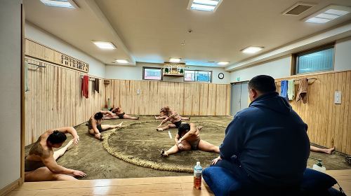 Tokyo Sumo Morning Practice: Viewing & Exclusive Interaction Day Tours