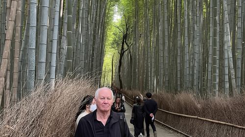 One-Day Walking Tour: Enjoy Kyoto to the Fullest Day Tours