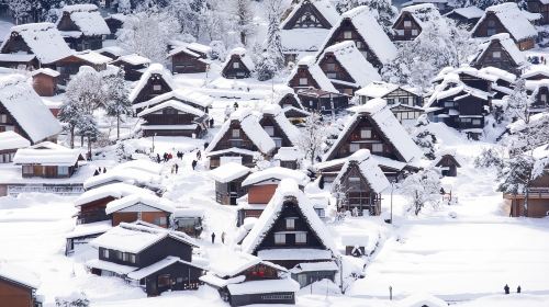 World Heritage Day Tour – Explore Shirakawa-go and Gokayama Thatched Villages with Nohi Bus