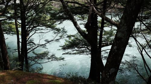 Private day trip to Kamikochi from Matsumoto, Nagano Day Tours