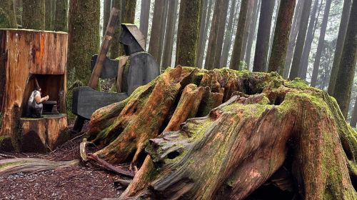 Alishan day tour – Tianchang-Dijiu & Alishan Forest Railway & tea-picking experience