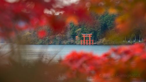 Hakone Sightseeing Cruise