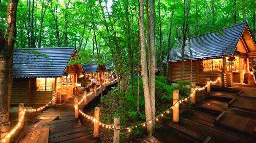 Hokkaido Forest Elf Terrace Illumination Day Tour: 12-Person Small Group