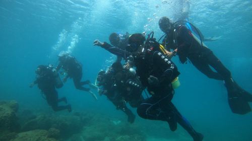 Penghu Islands Diving Experience diving diving 2 Hours – 2025 Penghu Fireworks Festival