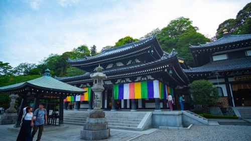 From Tokyo: Kamakura Full Day Private Custom Tour Day Tours
