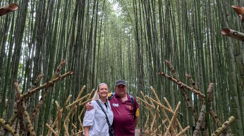Kyoto Arashiyama Bamboo, Temple, Monkey or Local Mountain Brewery Day Tours