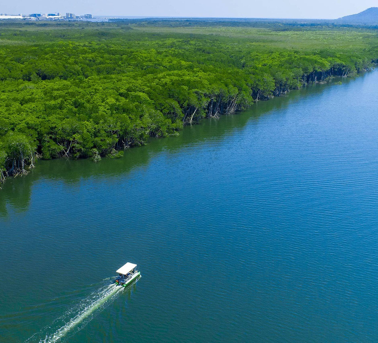 Cairns: Dinghie (tinny) Boat Hire