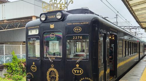 1-day tour to Nanki Shirahama + Wakayama cat station master Kishi train + Senjojiki + Sandanbeki cliffs