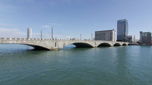 Port Pick-Up: Niigata Private Tour Licensed Guide& Vehicle Day Tours