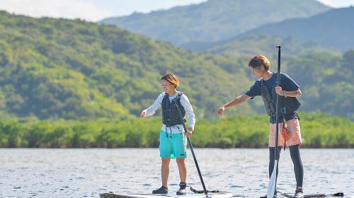 Okinawa Iriomote SUP or Canoe and Sightseeing in Yubujima Island