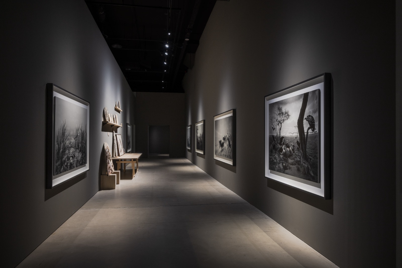 Hiroshi Sugimoto: Form Is Emptiness