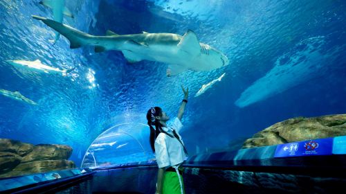 Shanghai Ocean Aquarium