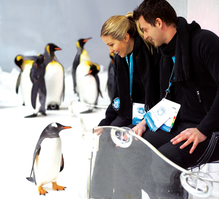 Melbourne: SEA LIFE Aquarium Entrance Ticket