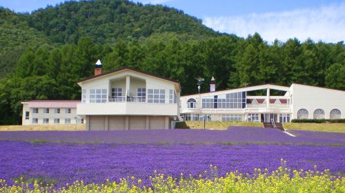 Furano highland tomita farm panoramic flower gardens shikisai-no-oka shirogane blue pond (aoiike) sightseeing bus