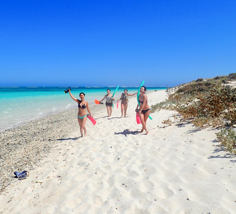 Exmouth: Guided Ningaloo Reef Snorkel Adventure