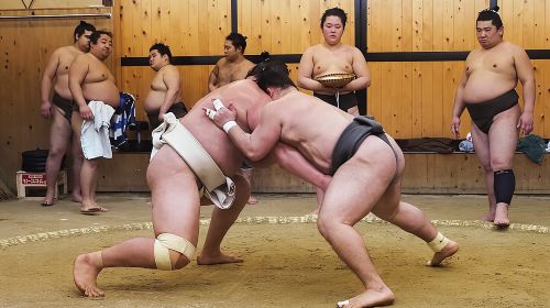 Tokyo Sumo Morning Training — Starting Right From Your Hotel. Day Tours