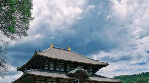 Kiyomizu-dera Temple, Fushimi Inari Taisha and Tōdai-ji in Kyoto and Nara