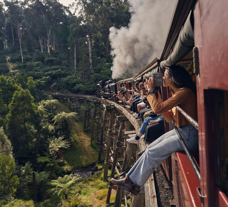 From Melbourne: Puffing Billy Train & Penguin Wildlife Tour